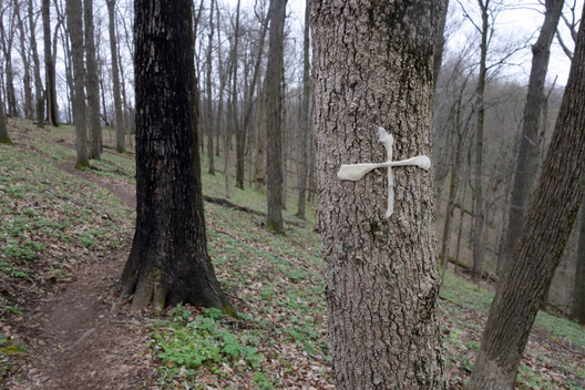 Davidson County, Tennessee