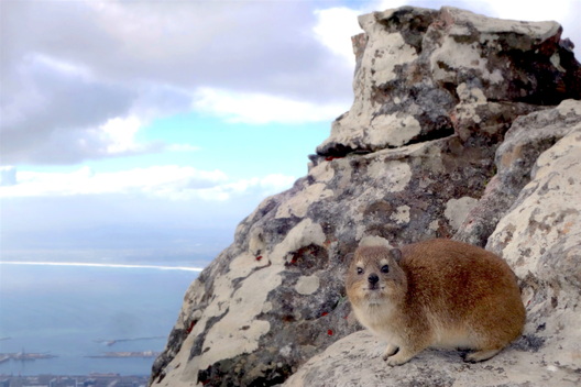 Cape Town, South Africa