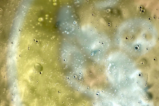 Car Wash Windshield - Athens, Alabama