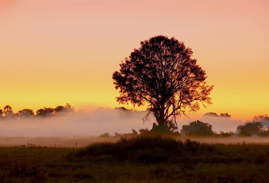 Chitabe Camp, Botswana