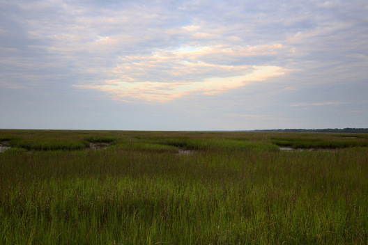 Tybee River Low Country, Georgia