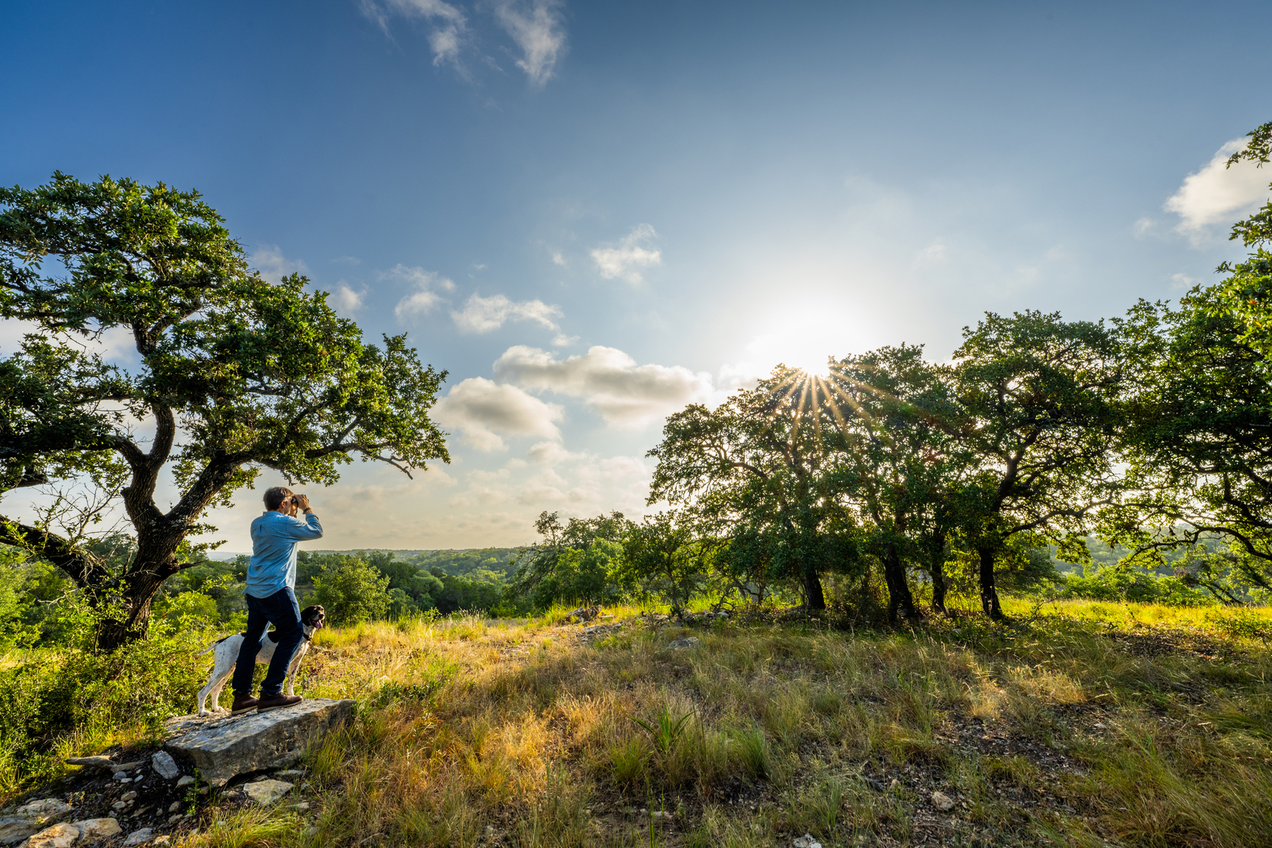 Nature and conservation photography from Jay Brittain