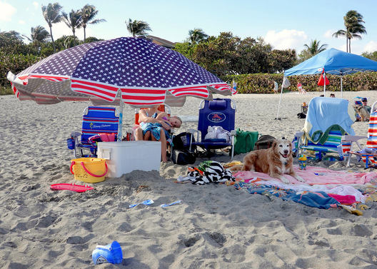 Dog Beach - Juno Beach, Florida