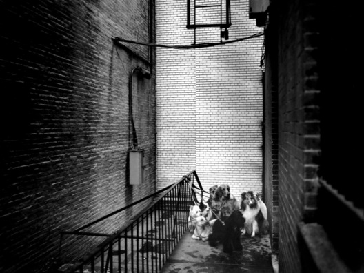 Manhattan, New York City