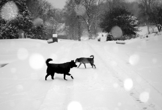Brentwood, Tennessee