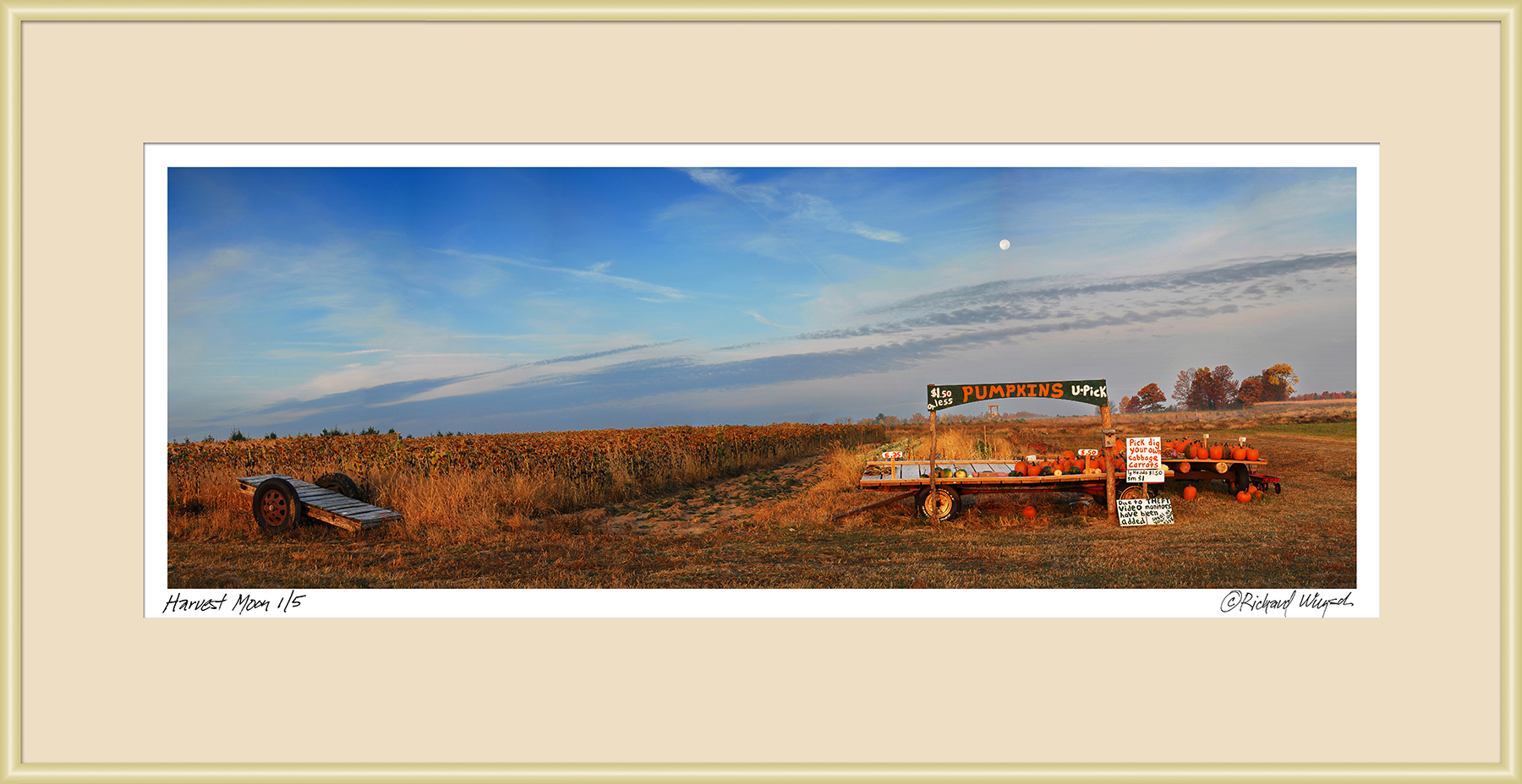 Harvest-Moon-Framed