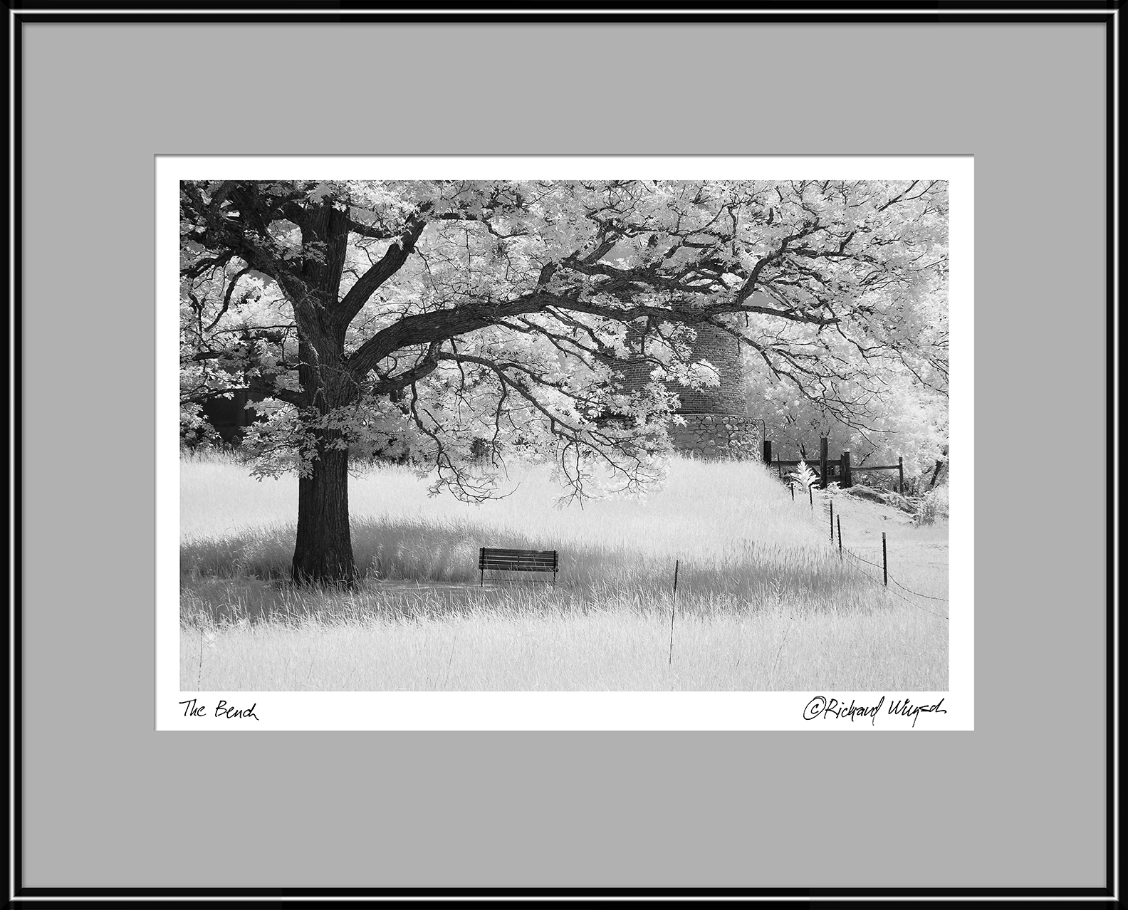 The-Bench