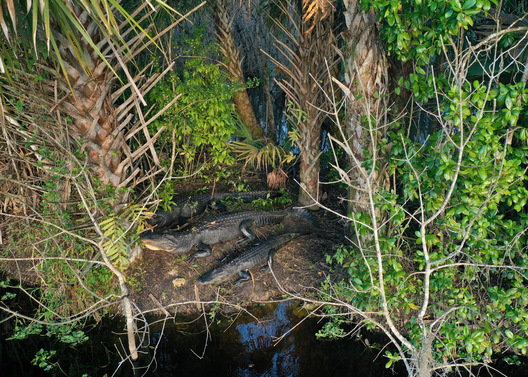 Collier County, Florida