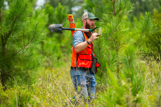Jay Brittain photography. Forest photography. Photographs of forest management. Forest Management. Photographs of the forest industry. photographs of foresters at work.