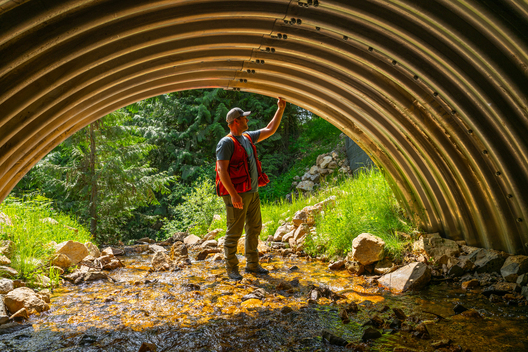 Jay Brittain photography. Forest photography. Photographs of forest management. Forest Management. Photographs of the forest industry. photographs of foresters at work.
