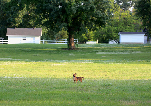 Mulberry, Arkansas