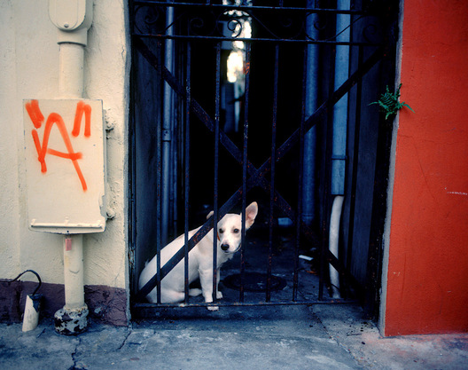 New Orleans, Louisiana