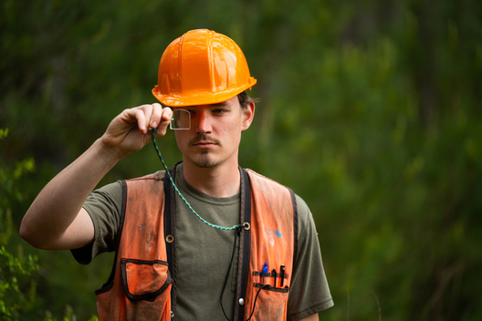 Jay Brittain photography. Forest photography. Photographs of forest management. Forest Management. Photographs of the forest industry. photographs of foresters at work.