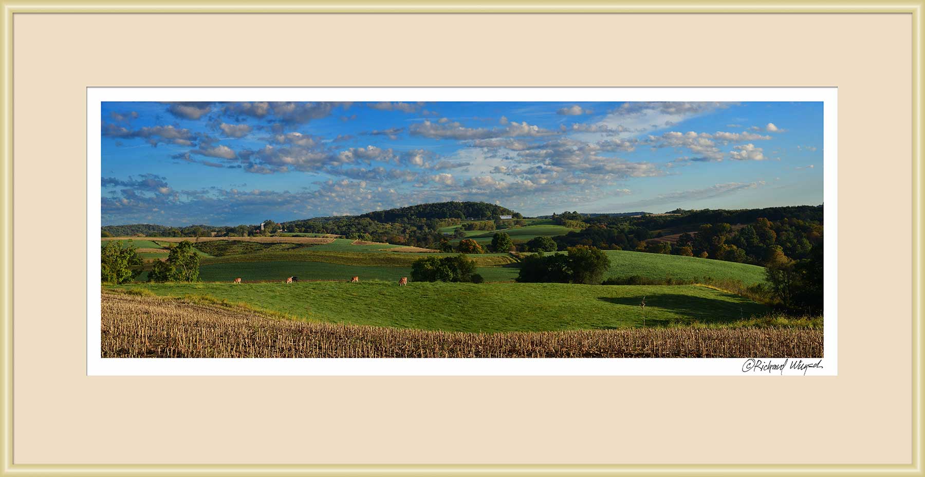 Driftless-Morning-Vista