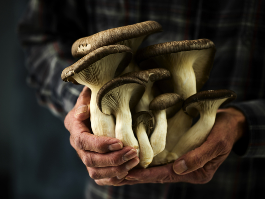 Restaurant dish captured by food photographer Jessica Grenier for menu design and promotional materials.