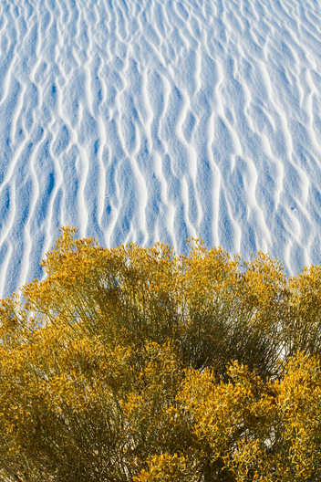 Nature and conservation photography from Jay Brittain