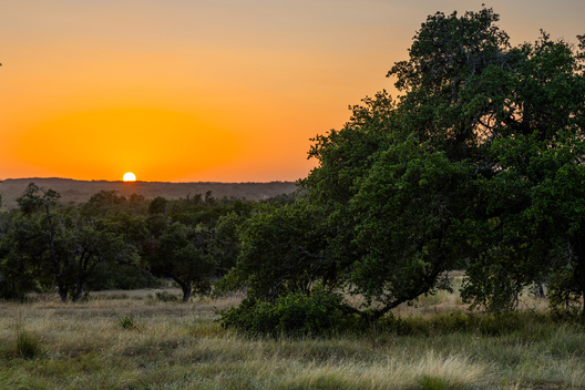 Nature and conservation photography from Jay Brittain