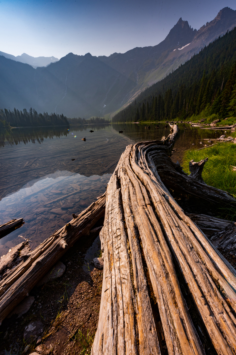 Nature Conservation photography from Glacier National Park by Jay Brittain