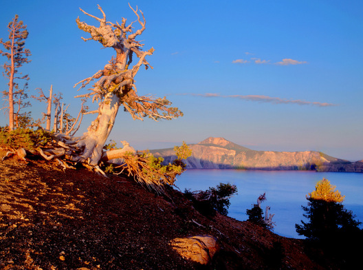 Crater Lake, Oregon