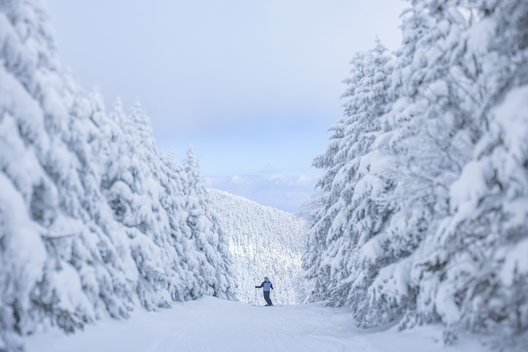 Randy Elles skiing fresh chalky snow at Sugarbush Resort, Vermont. Jan 28th, 2026.