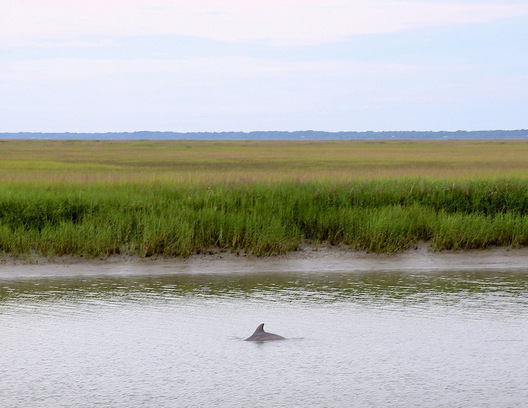 Tybee Island, Georgia