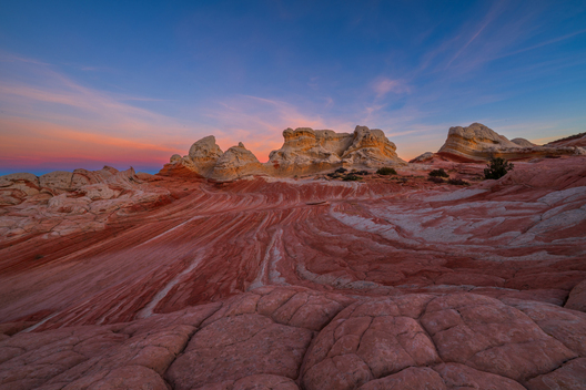Nature and conservation photography from Jay Brittain