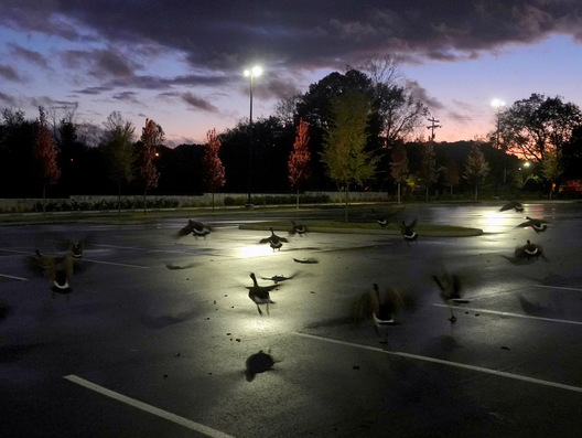 Brentwood, Tennessee