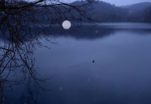 Radnor Lake, Tennessee