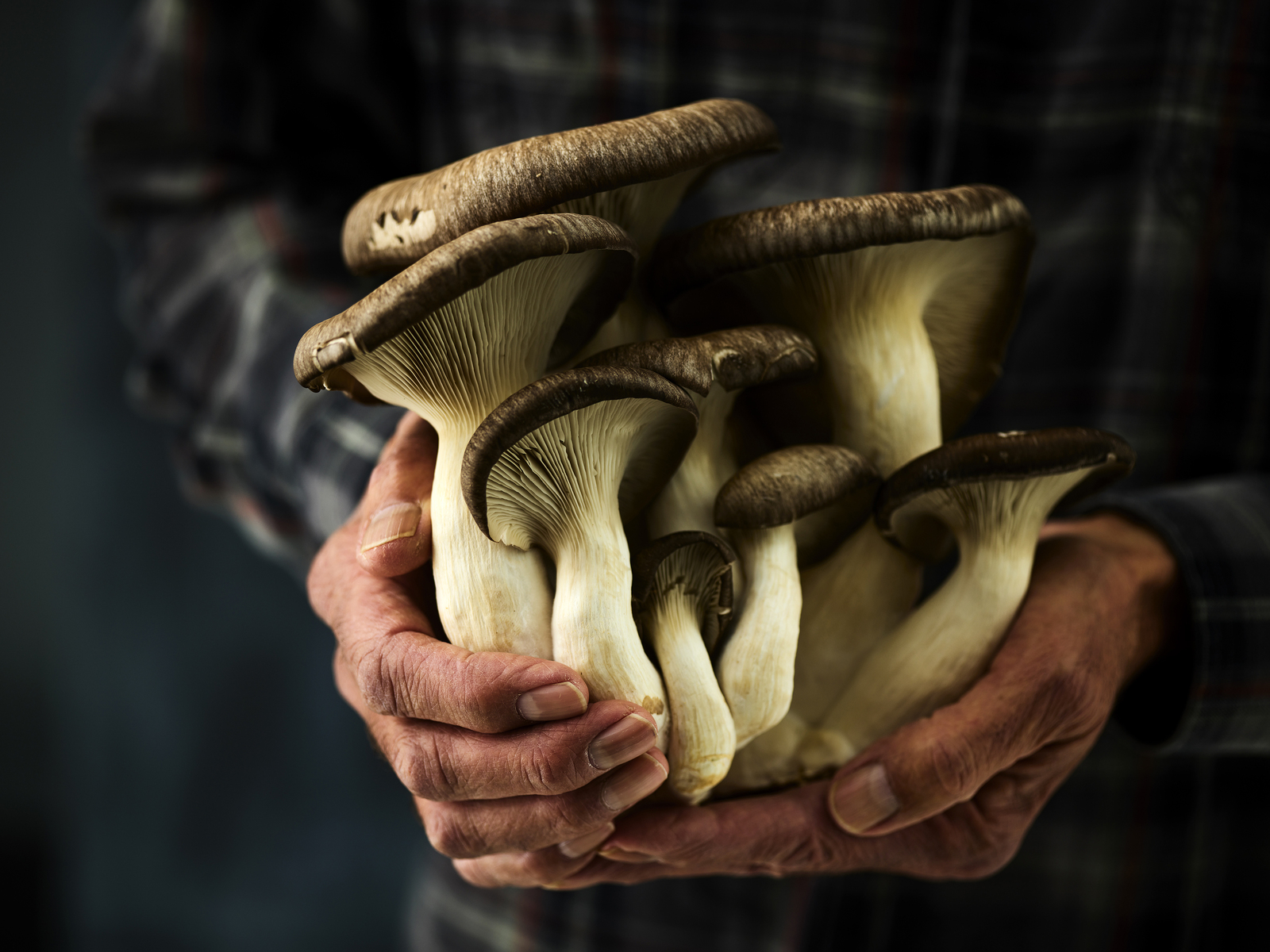 Restaurant dish captured by food photographer Jessica Grenier for menu design and promotional materials.