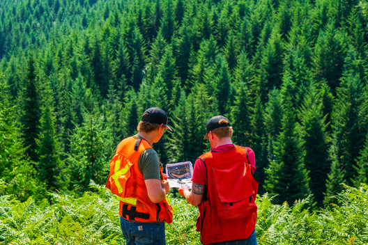 Jay Brittain photography. Forest photography. Photographs of forest management. Forest Management. Photographs of the forest industry. photographs of foresters at work.