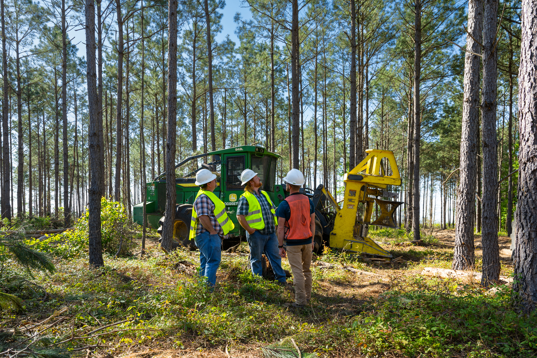 Jay Brittain photography. Forest photography. Photographs of forest management. Forest Management. Photographs of the forest industry. photographs of foresters at work.