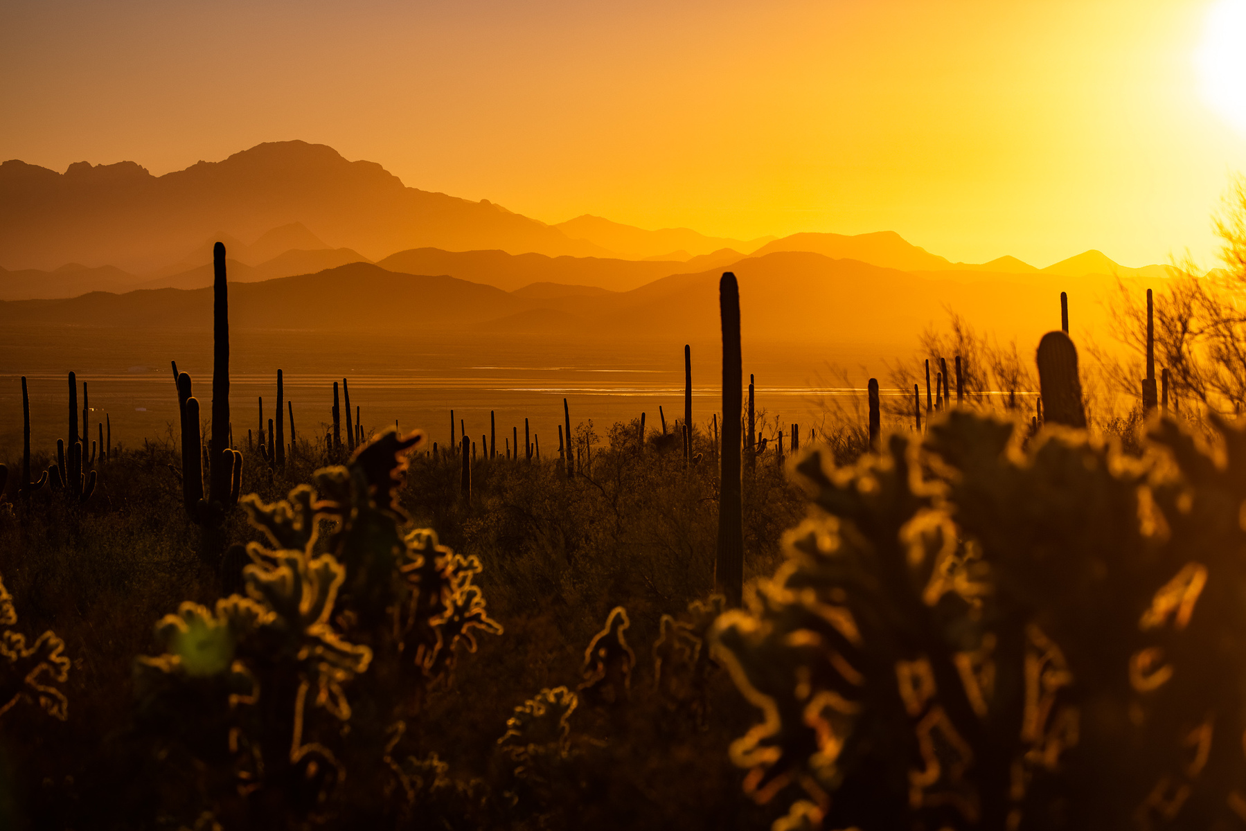 Patagonia, Arizona Photo:Adam Clark
