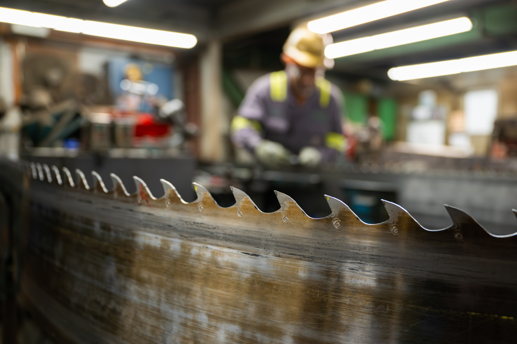 building products, forest products, forest product photographer, Jay Brittain