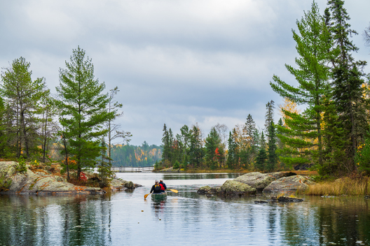 Nature and conservation photography from Jay Brittain