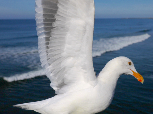 Oceanside, California