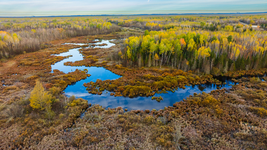 Nature and conservation photography from Jay Brittain