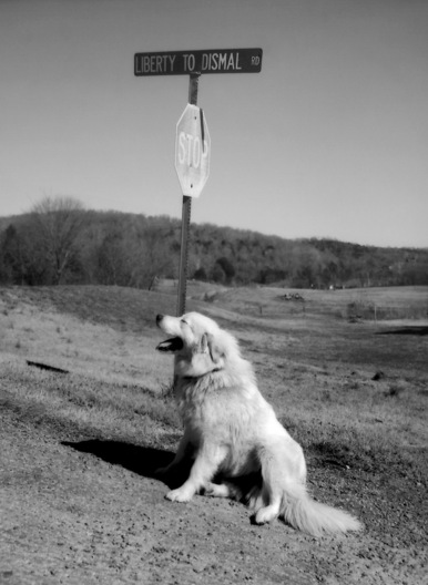 Dismal, Tennessee