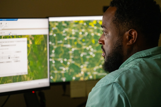 Jay Brittain photography. Forest photography. Photographs of forest management. Forest Management. Photographs of the forest industry. photographs of foresters at work.