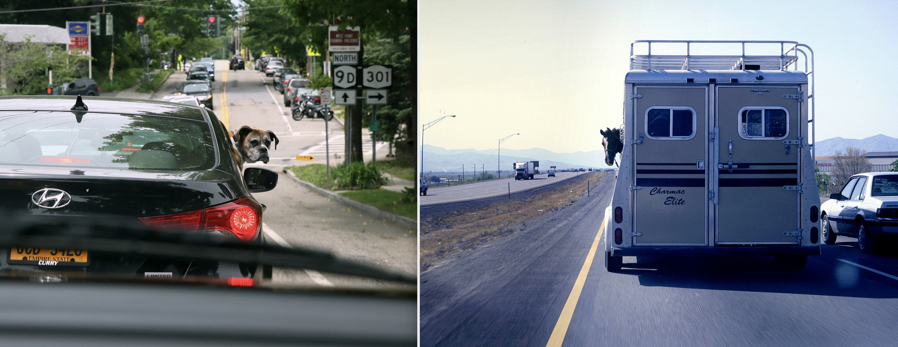 Cool Spring, NY / Salt Lake City, UT