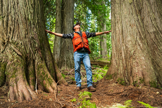 Jay Brittain photography. Forest photography. Photographs of forest management. Forest Management. Photographs of the forest industry. photographs of foresters at work.