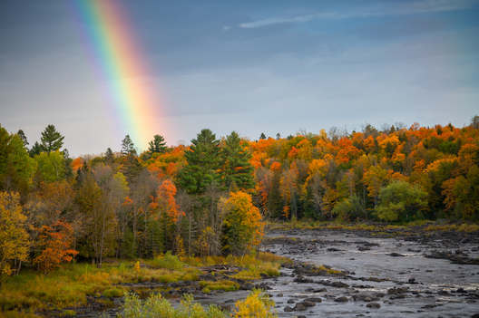 Nature and conservation photography from Jay Brittain