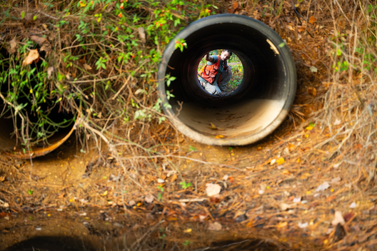 Jay Brittain photography. Forest photography. Photographs of forest management. Forest Management. Photographs of the forest industry. photographs of foresters at work.