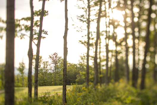 Jay Peak Resort, VT 2011. Summer assets.