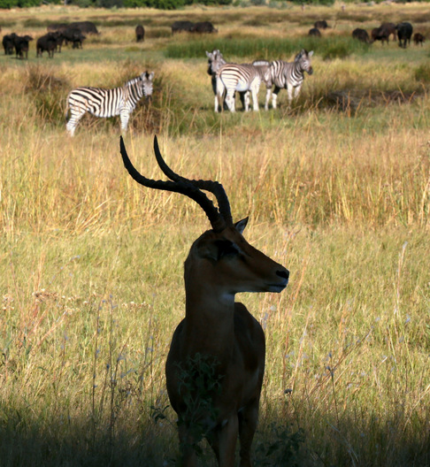Chitabe, Botswana