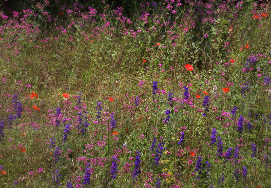 Cullowhee, North Carolina