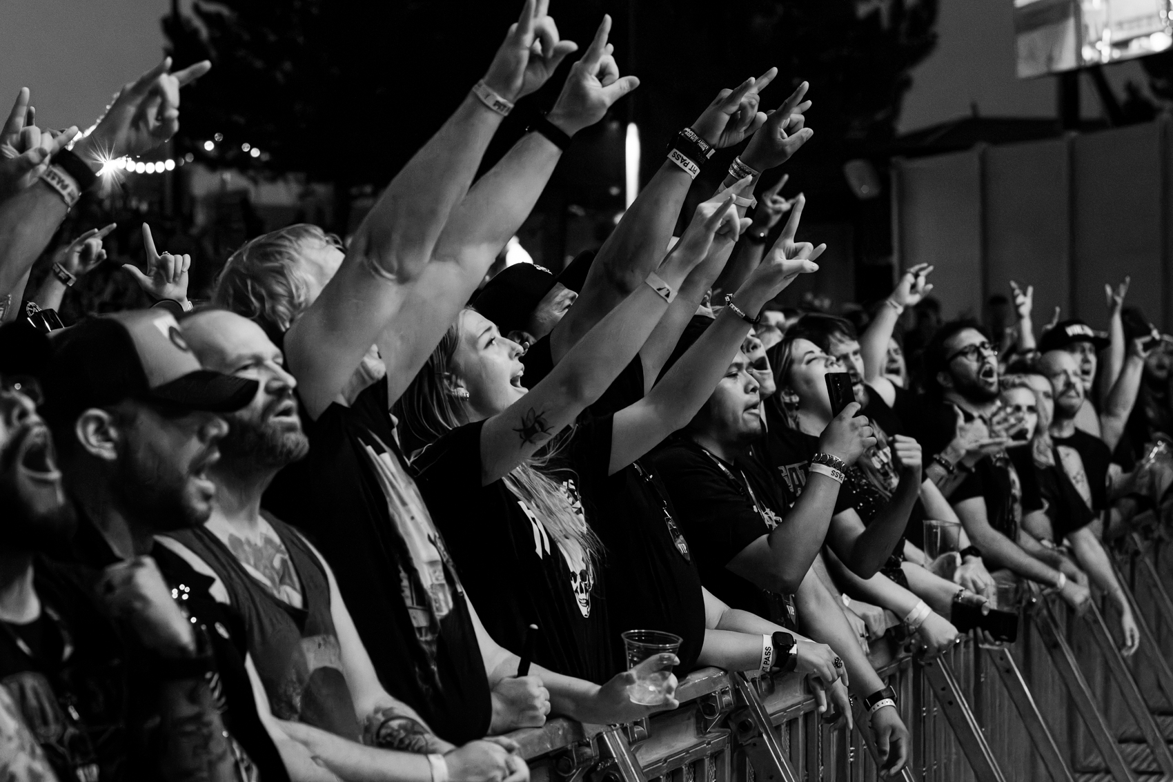 VolbeatDB-10