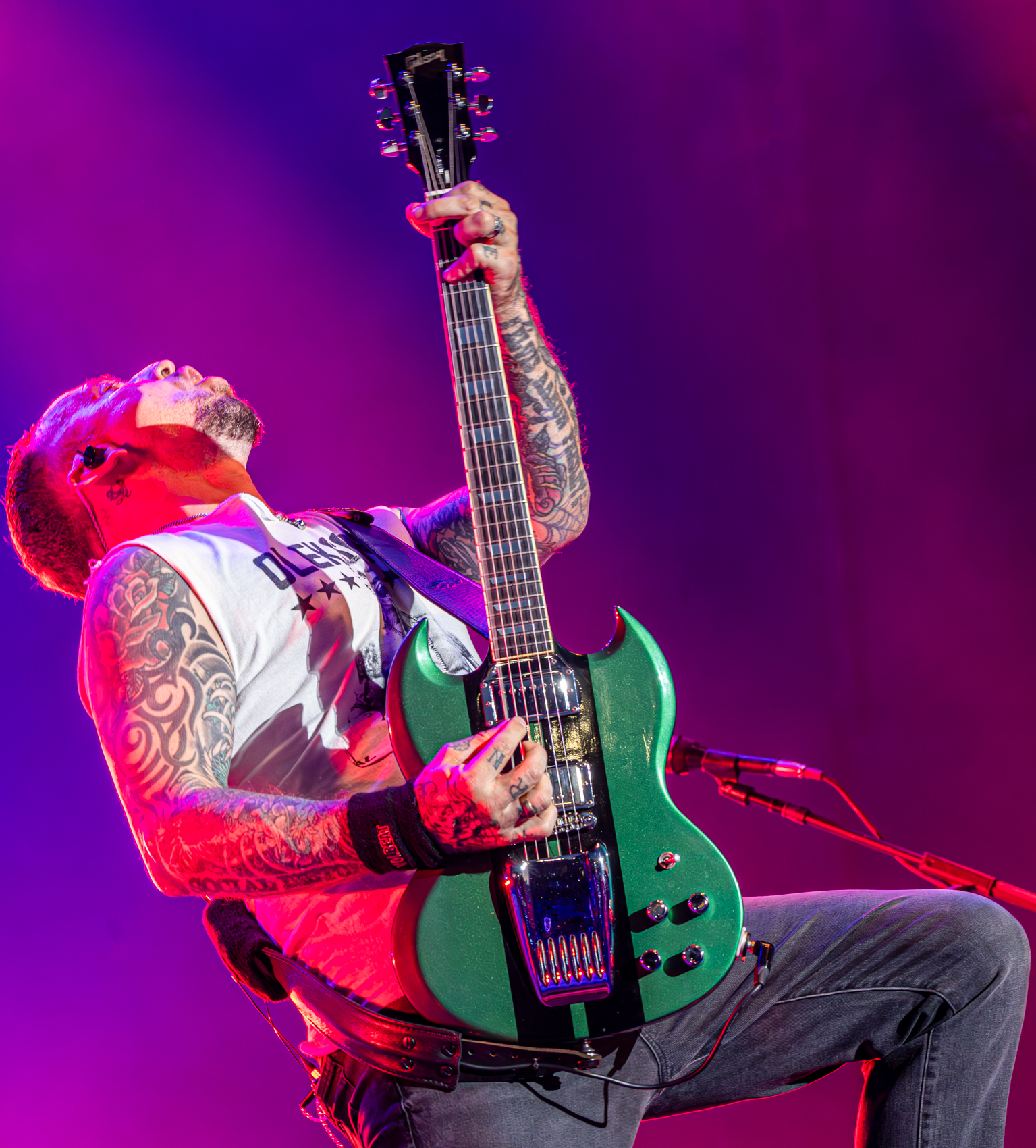 VolbeatDB-22