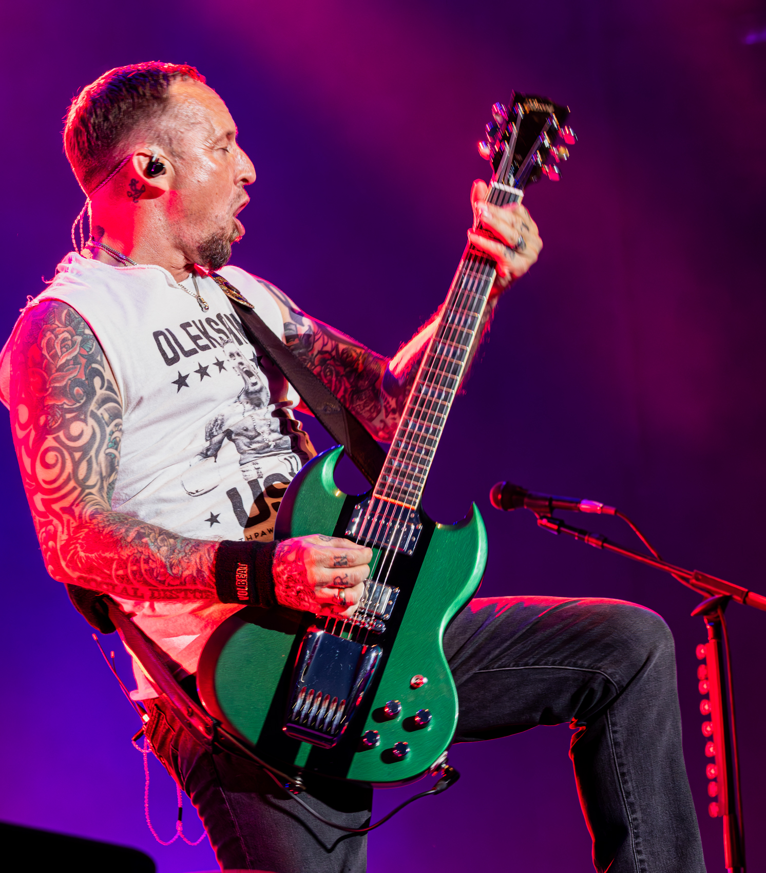 VolbeatDB-23