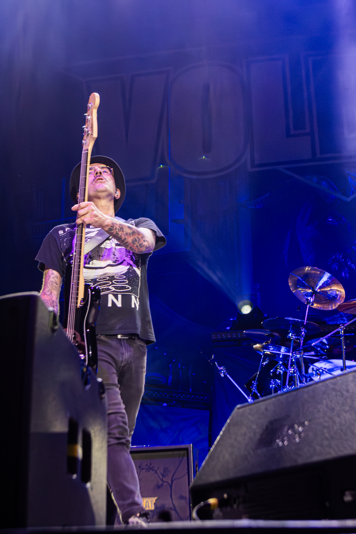 VolbeatDB-26