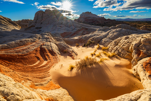 Nature and conservation photography from Jay Brittain